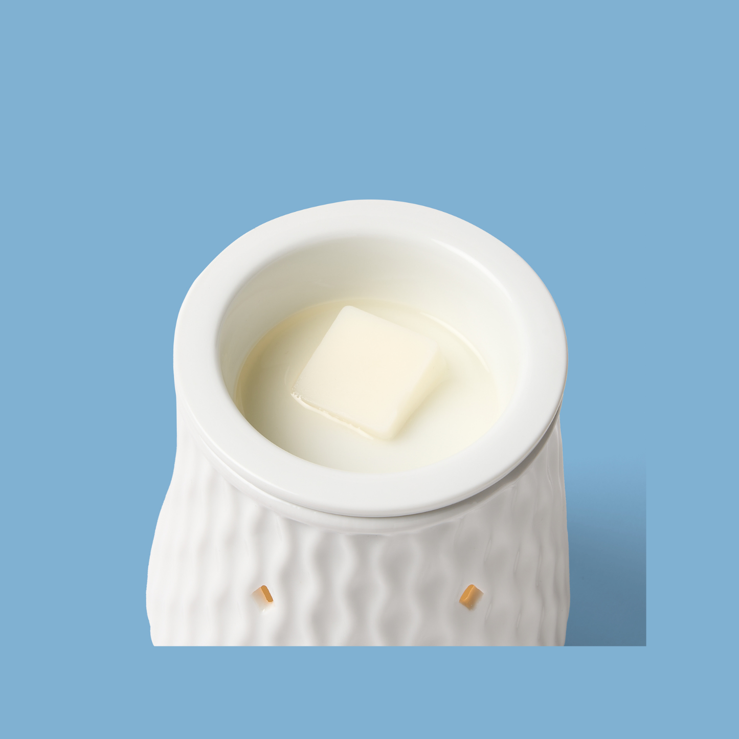 Devon Wick- The ULTIMATE Wax Melt Snap Bar 50 x Samples Box